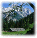 Nel Cuore delle Dolomiti